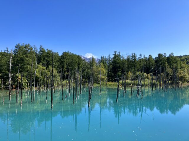 青い池